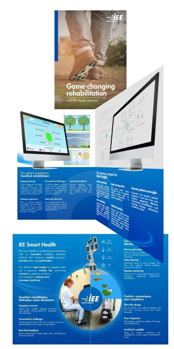 Flyer Game-changing rehabilitation
